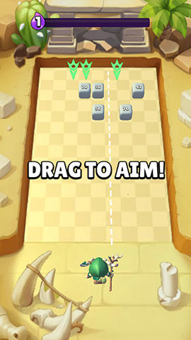 Crazy Brick Destroyer